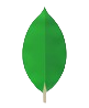 MongoDB